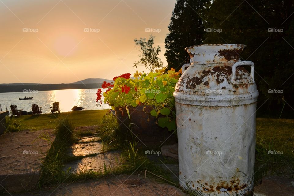 Old milk can at the lake. Old rusty milk can at the lake in the garden