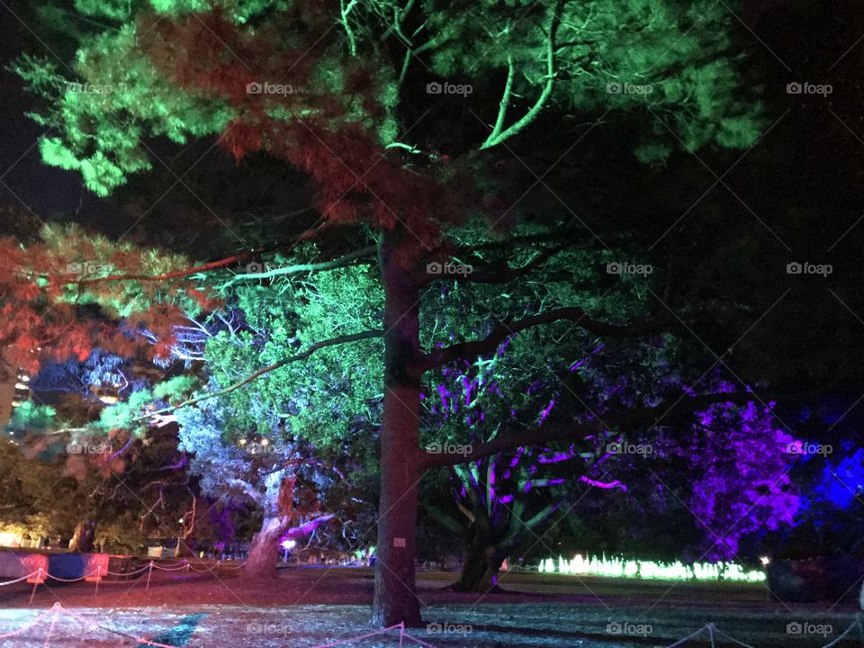 Vivid lights - Vivid Sydney is where art, technology and commerce intersect . 