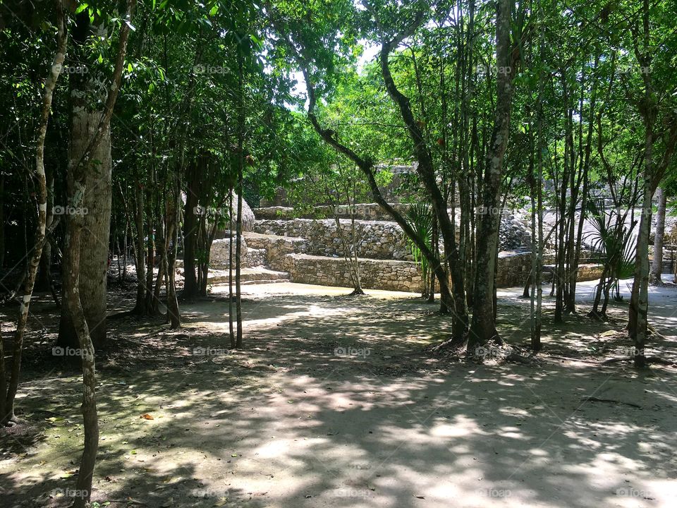 Mayan monuments in Mexican jungle