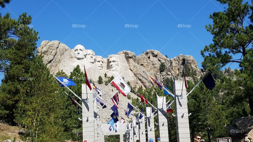 Mt. Rushmore State Flags