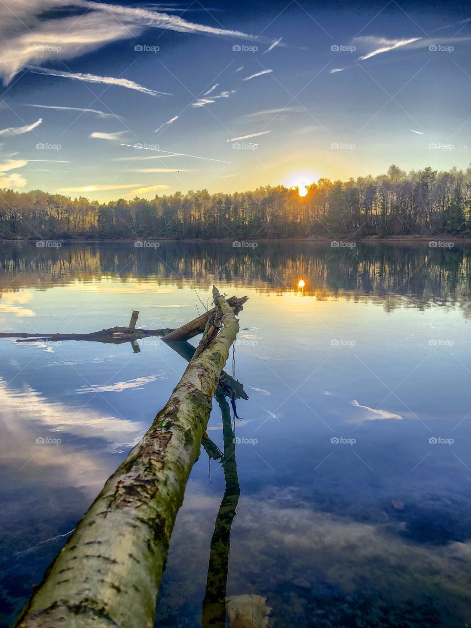 Sunset or sunrise behind the forest as seen from the shore of a lake with a branch leading into the picture and the blue sky and white fluffy clouds reflected in the water surface 