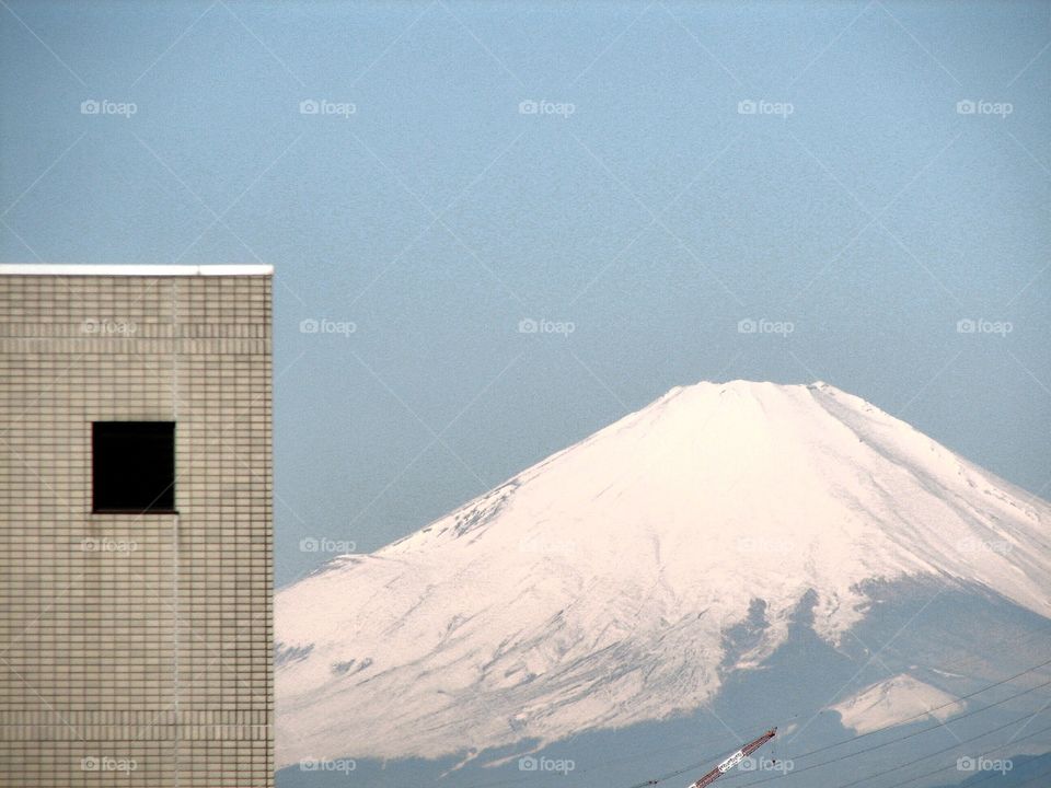 Fuji san