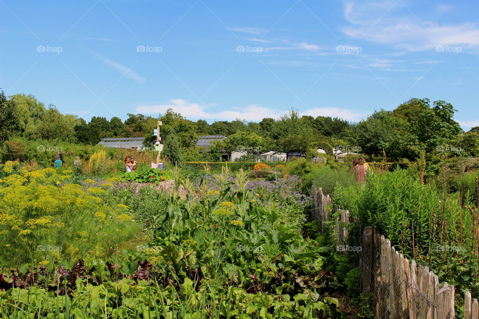 Urban gardening