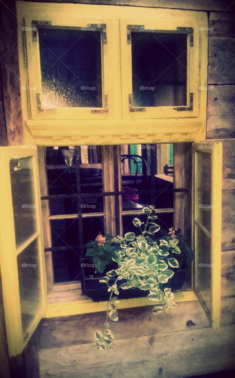 old yellow window