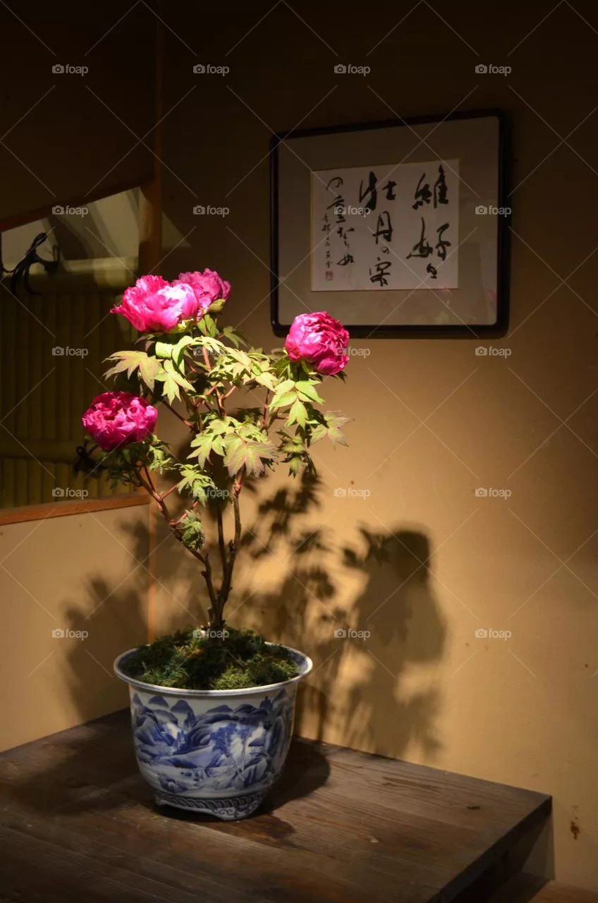 Flowers 