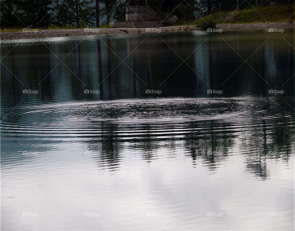 Reflection of trees in lake in Ehrwald, Austria.