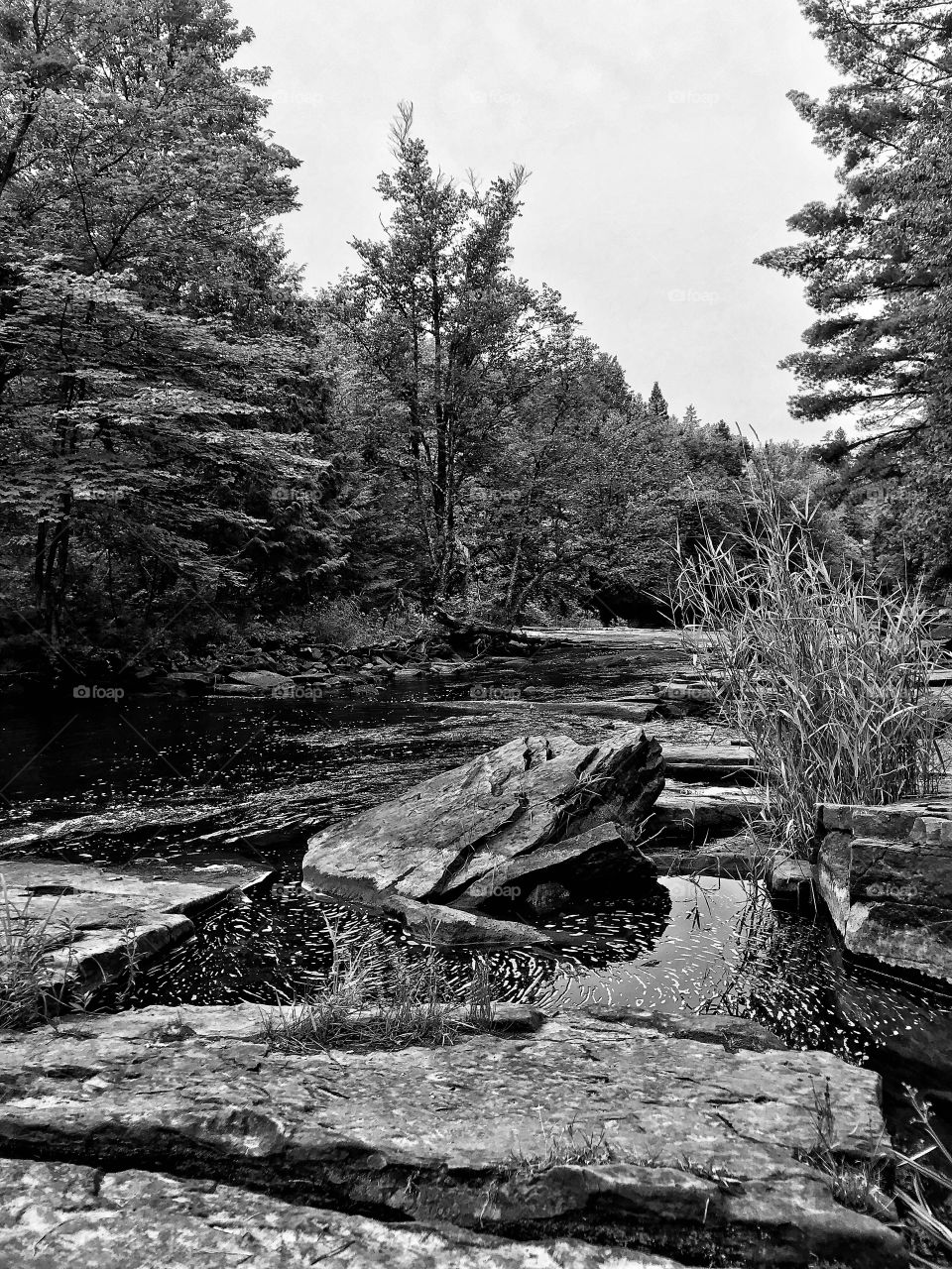 The streams called out to me, and told me to dive in. I want nothing but to go deeper. 