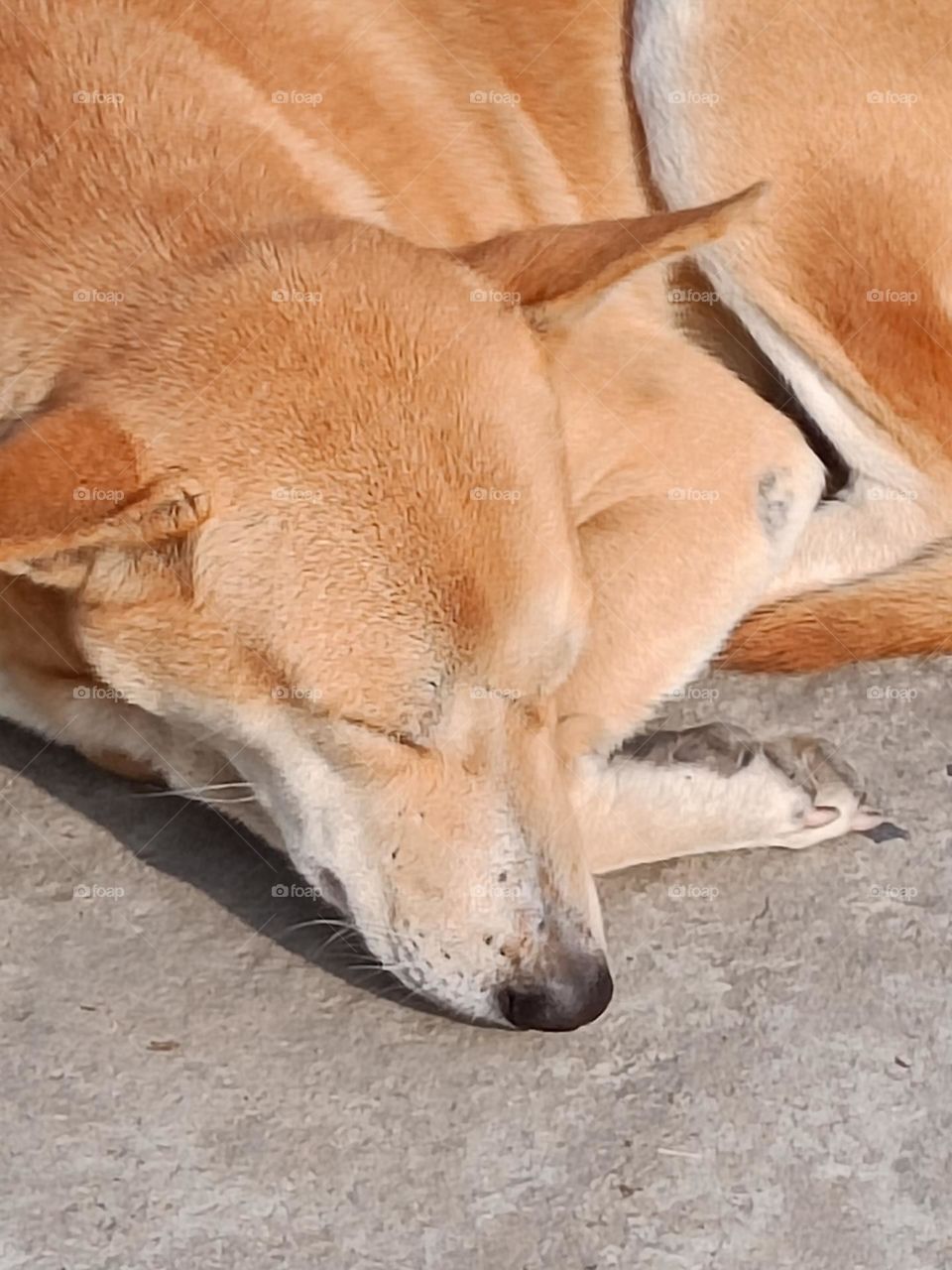 sleeping and feeling comfortable