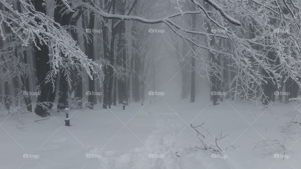 black and white . our climb was 1000 steps from the snow but it was just an uphill