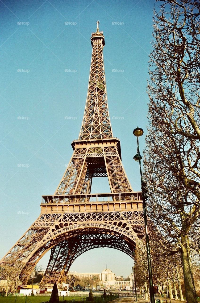 Eiffel Tower Centerpiece, Paris, France