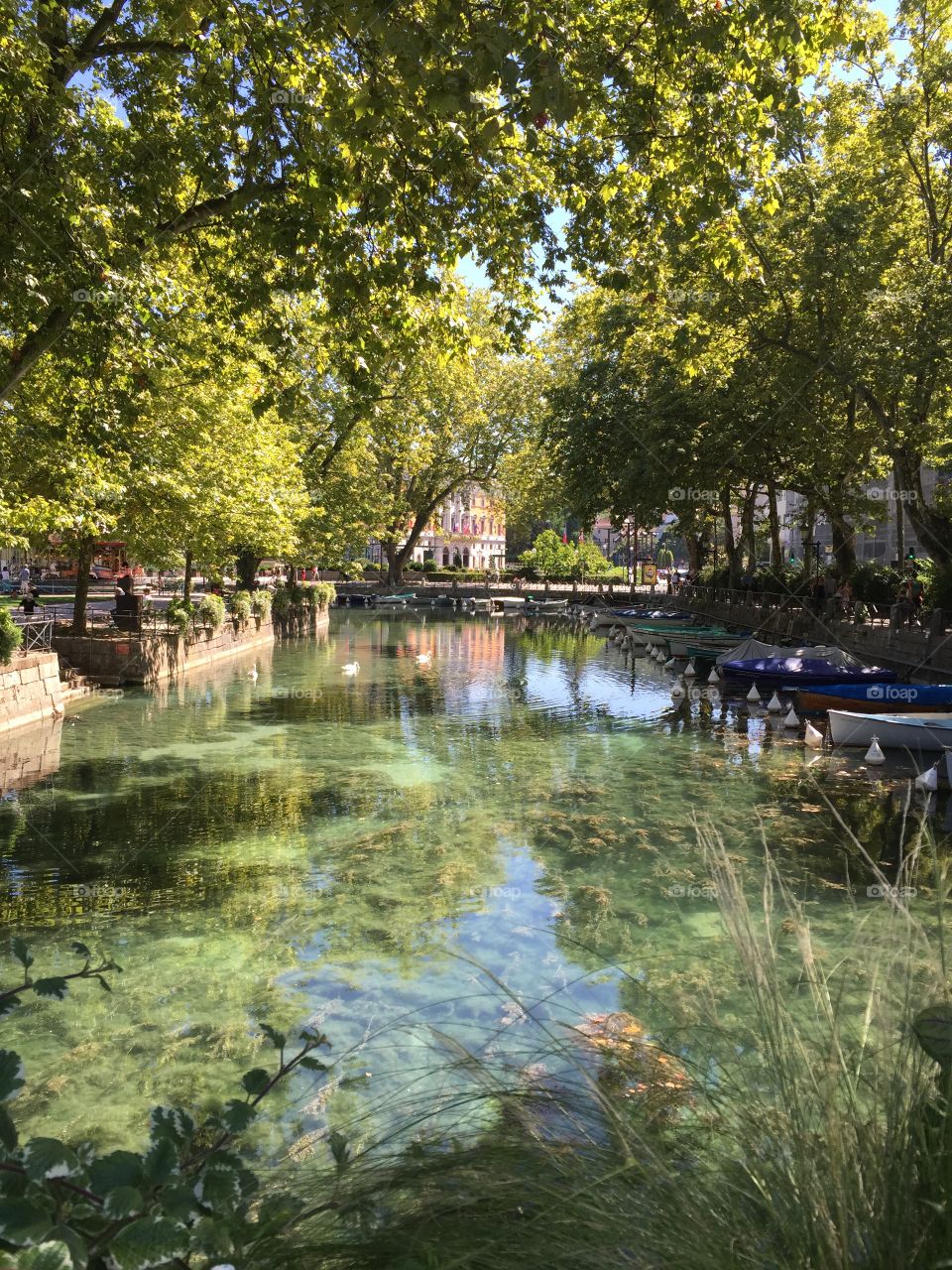 Annecy Refections