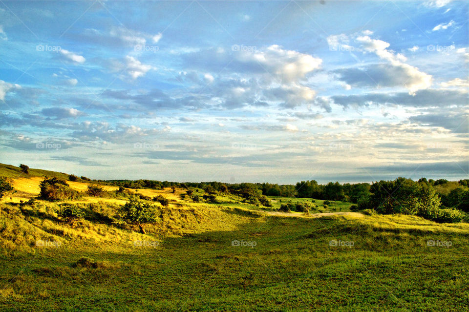 View of green landscape