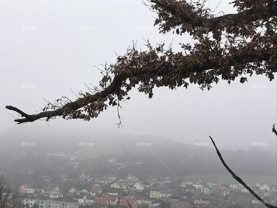 Natur