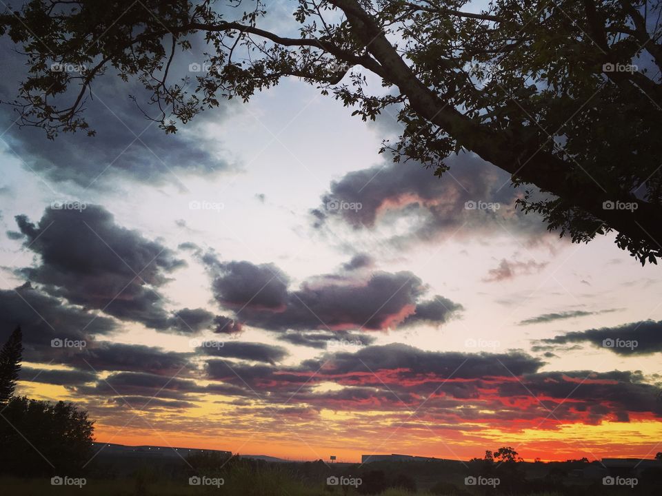 🌅Desperte, Jundiaí.
Que o azul do #céu nos inspire!
🍃
#sol #sun #sky #photo #nature #morning #alvorada #natureza #horizonte #fotografia #pictureoftheday #paisagem #inspiração #amanhecer #mobgraphy #mobgrafia #Jundiaí #AmoJundiaí