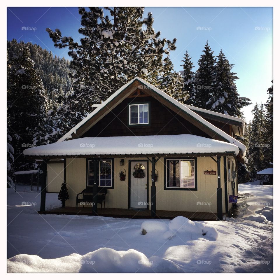Cute winter cabin 