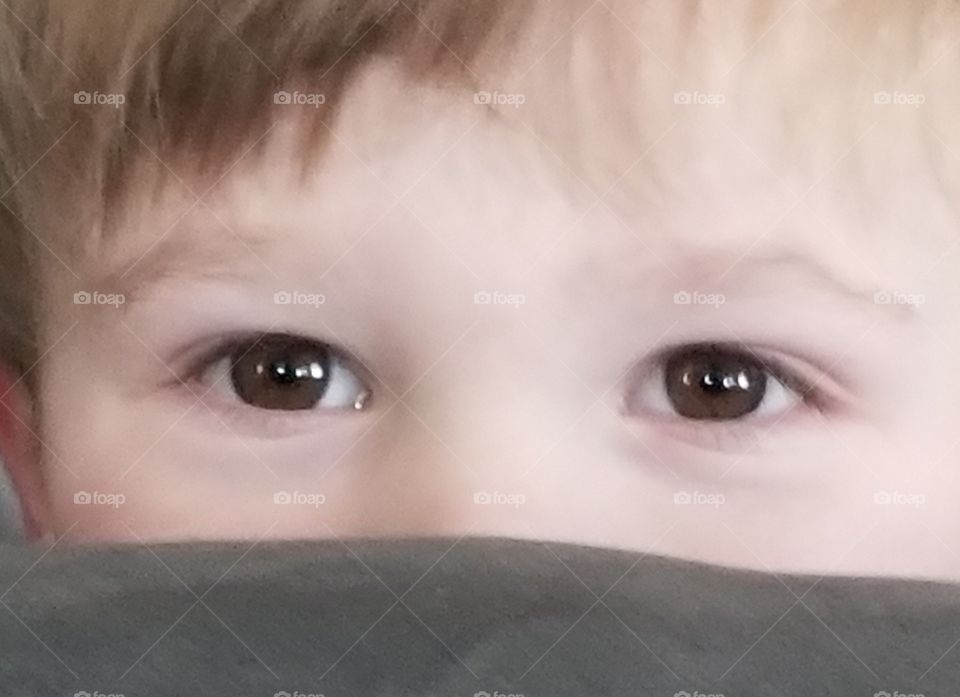 beautiful brown eyes