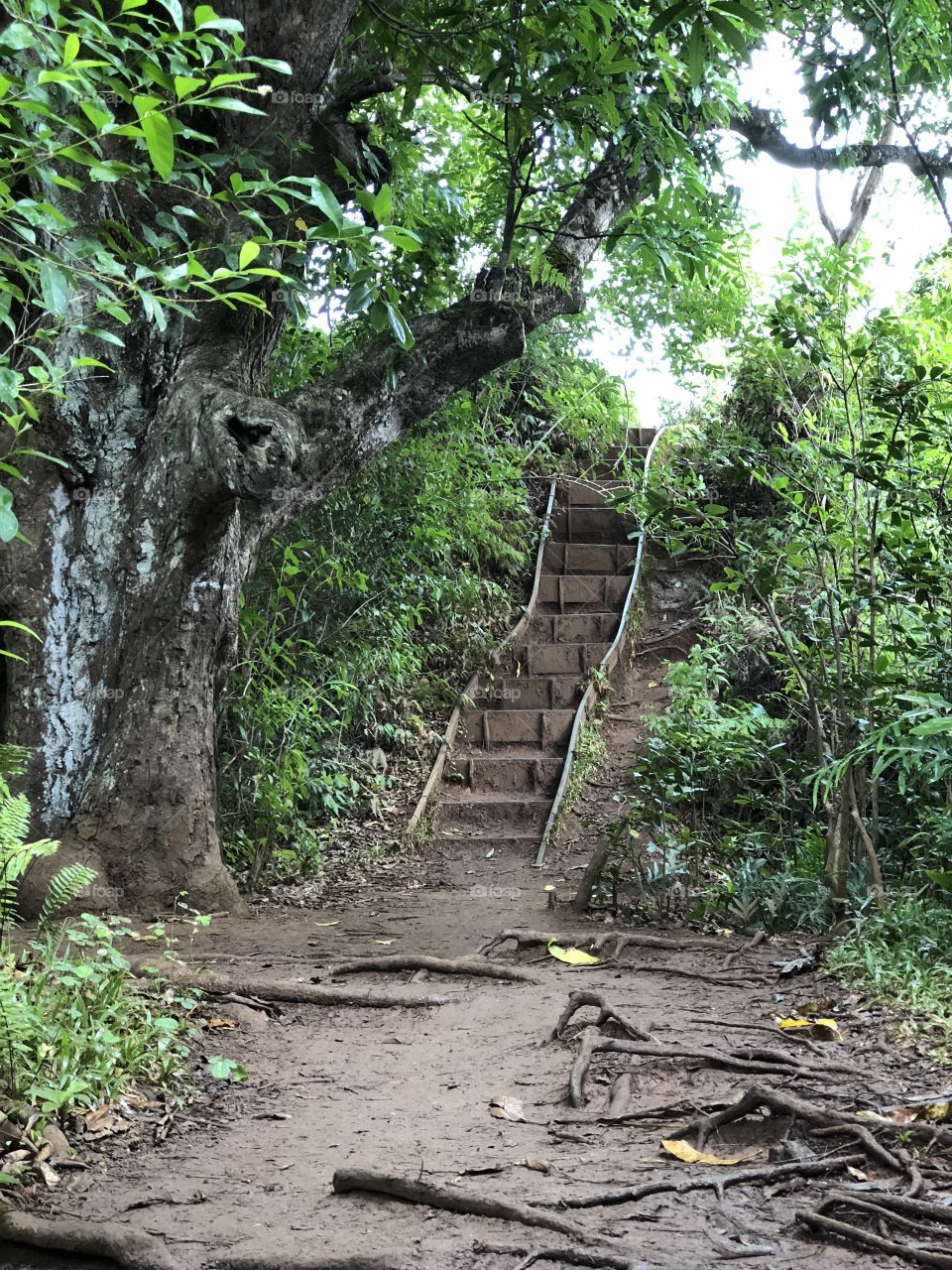 Manawili waterfall hike 