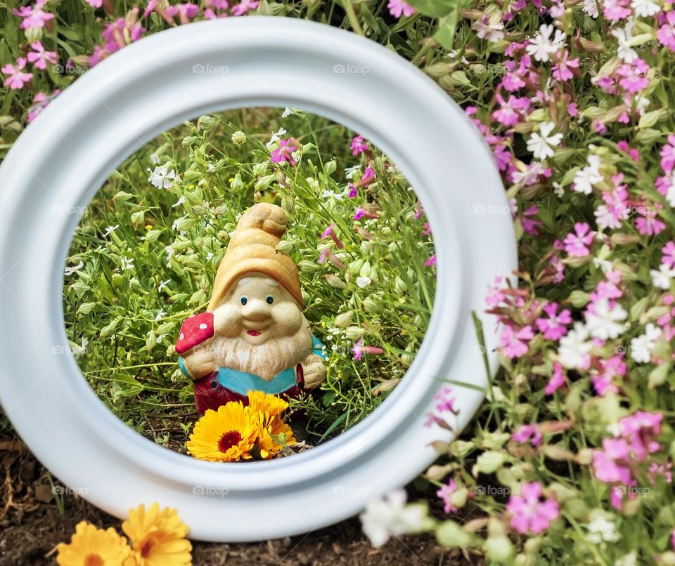 Reflections of a garden gnome