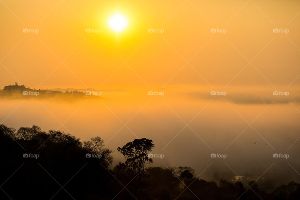 Sunrise over the valley on a cold winter's morning with fog and mist with trees silhouetted. Love the colors and mystery of thus image