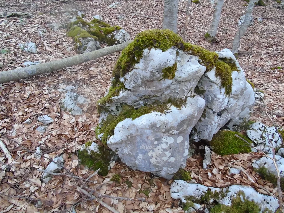 Rock