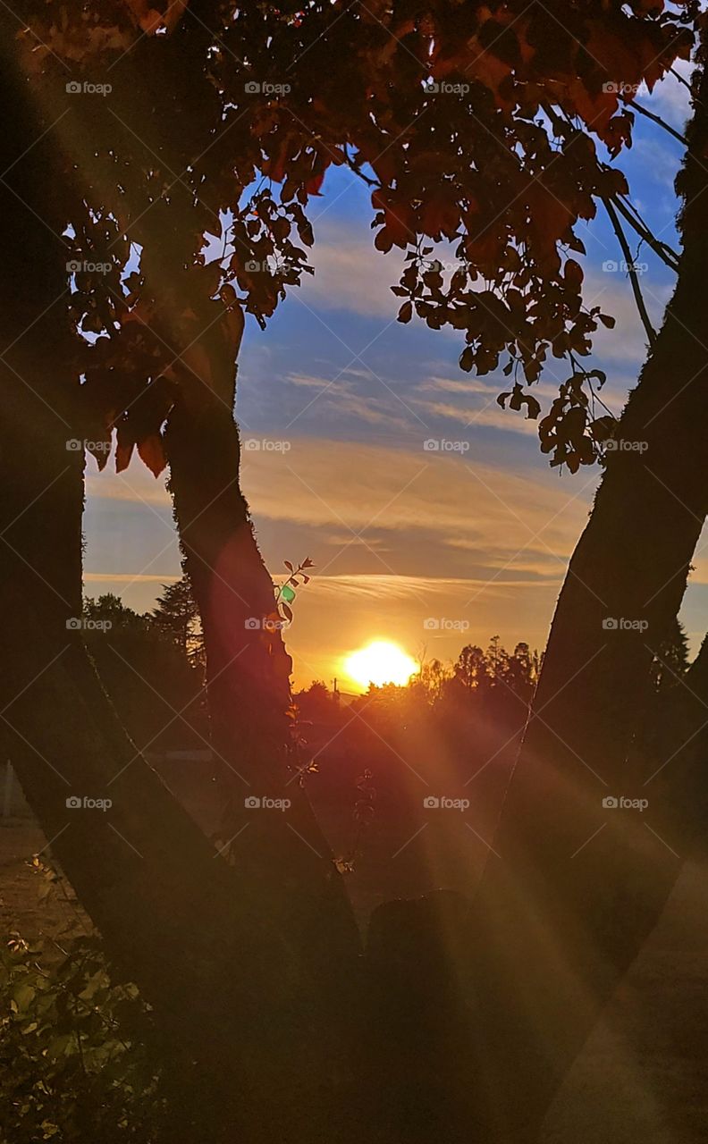 Humid July Oregon Sunsets