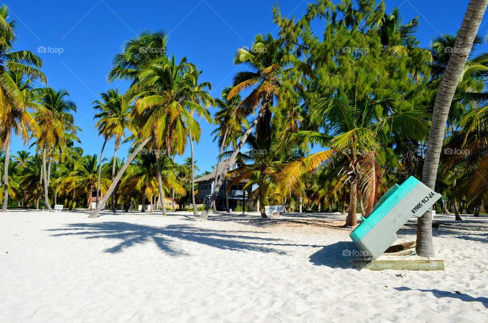 tropical beach dominican republic