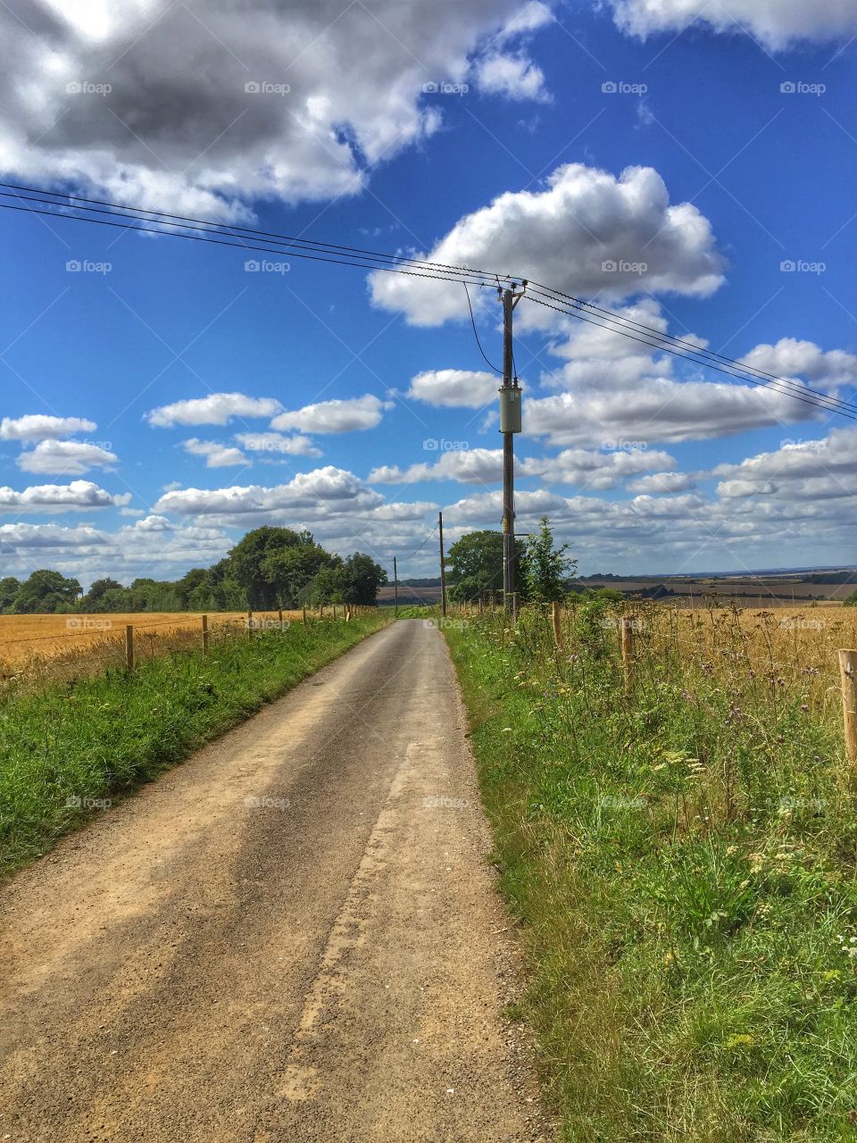 English country lane in summer