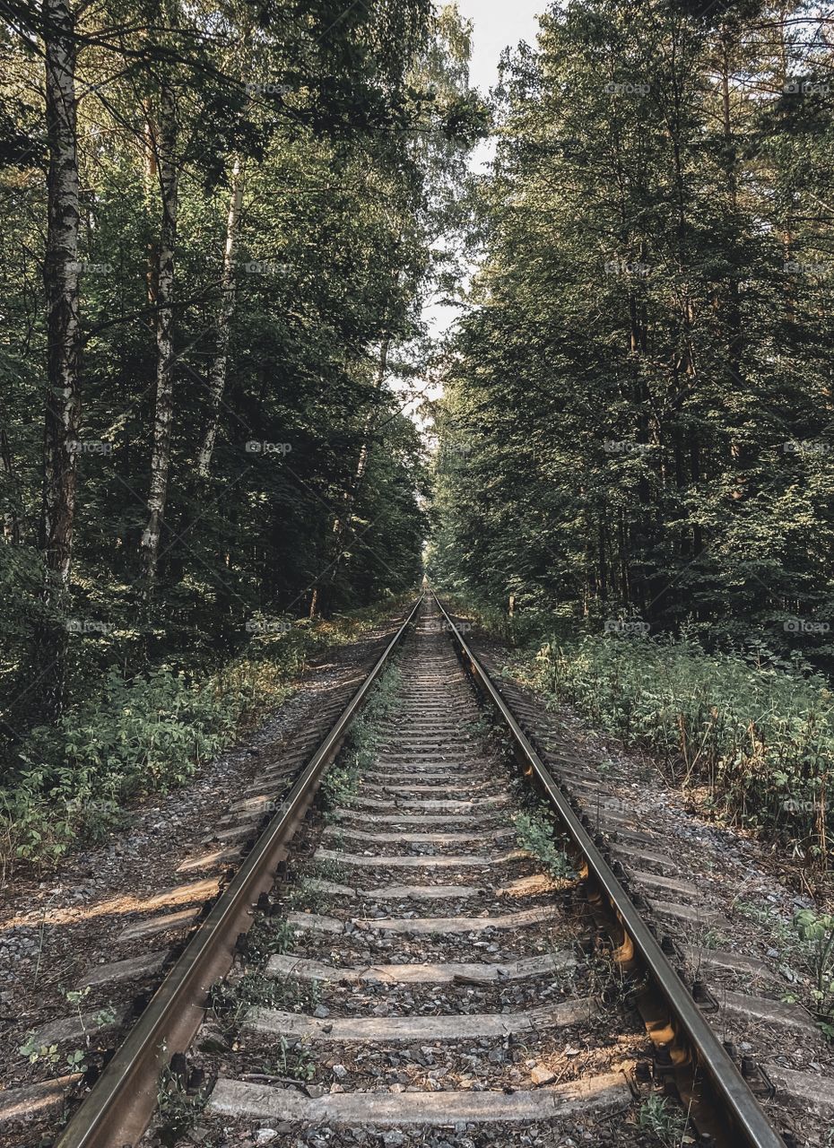 Railway in the forest.