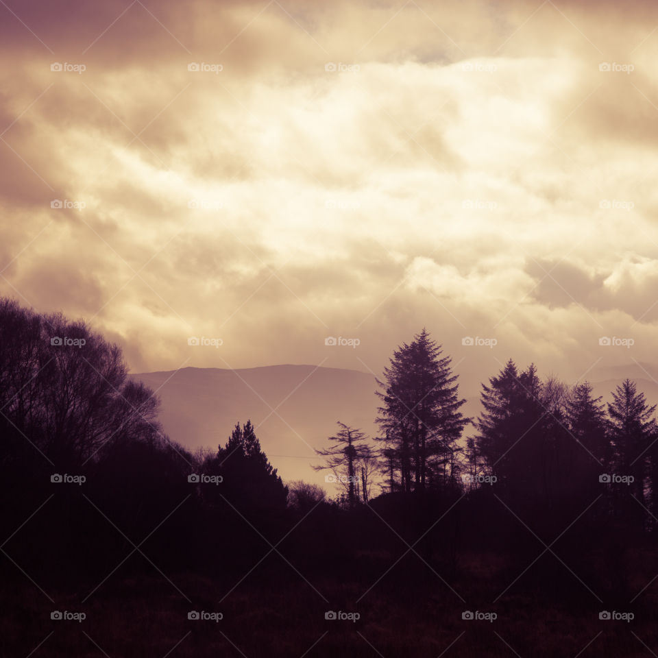 Landscape, Tree, No Person, Dawn, Sunset