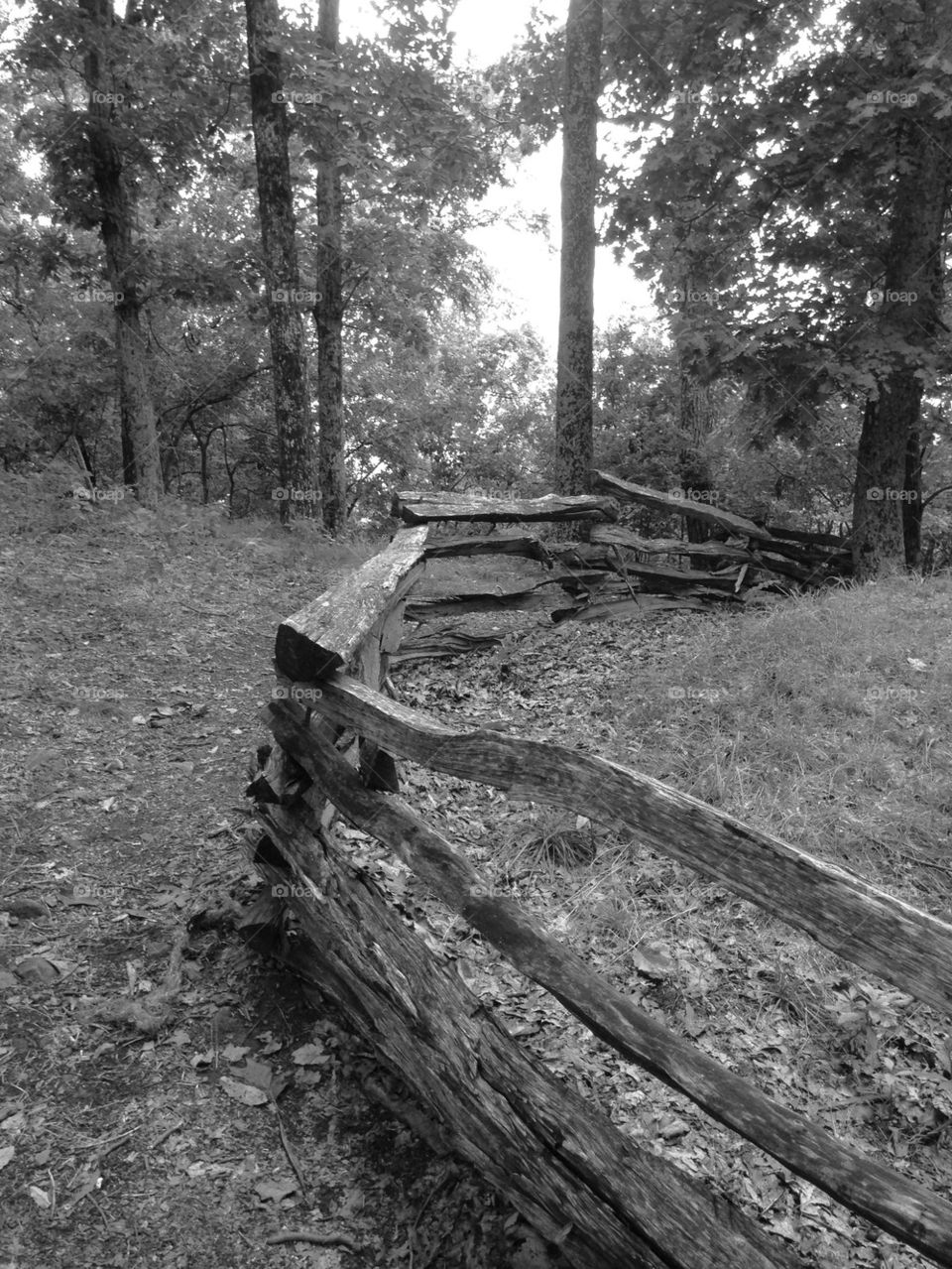 Split rail fence 