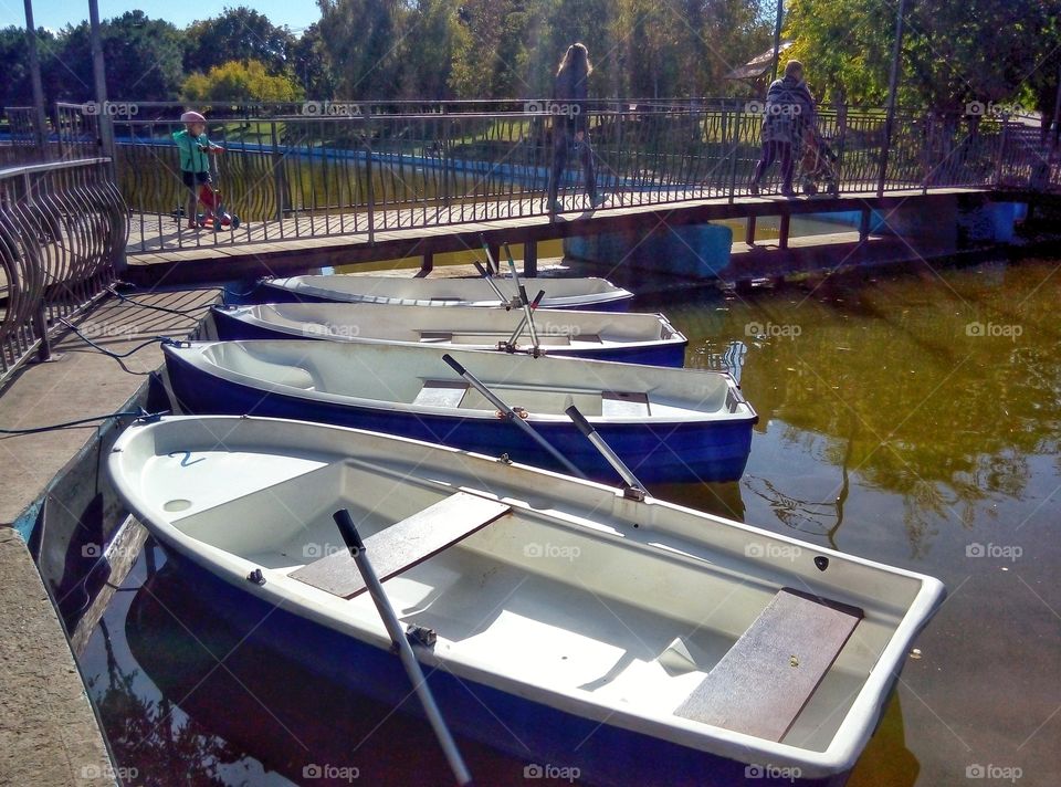 boat on the lake in the park лодки на озере в парке