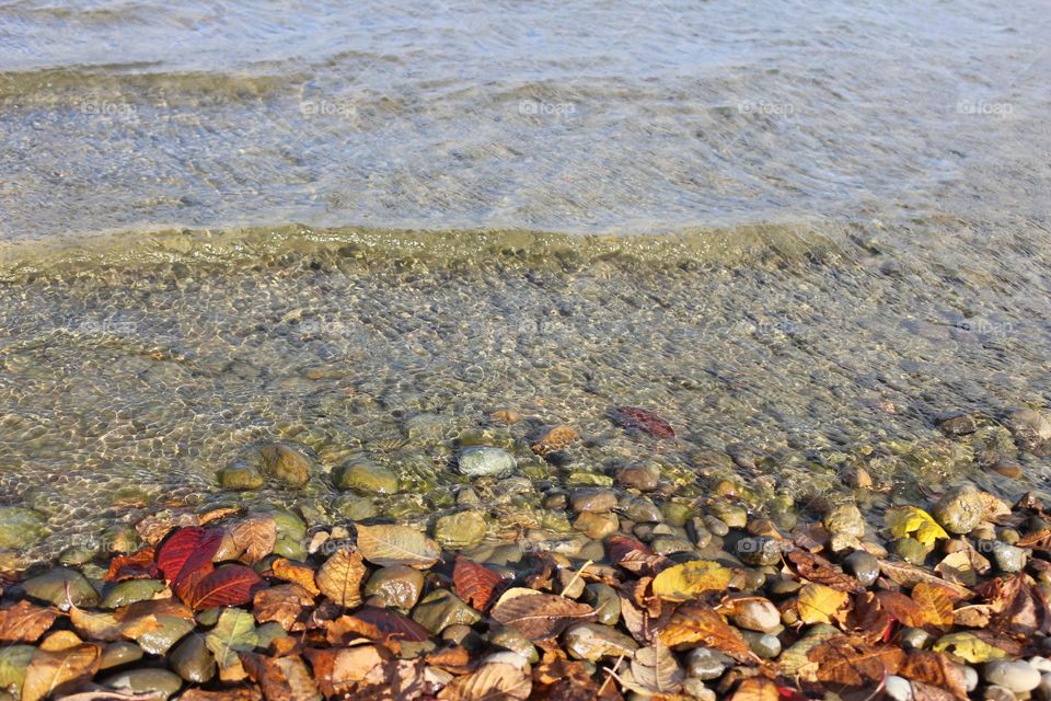 Waves and yellow leaves