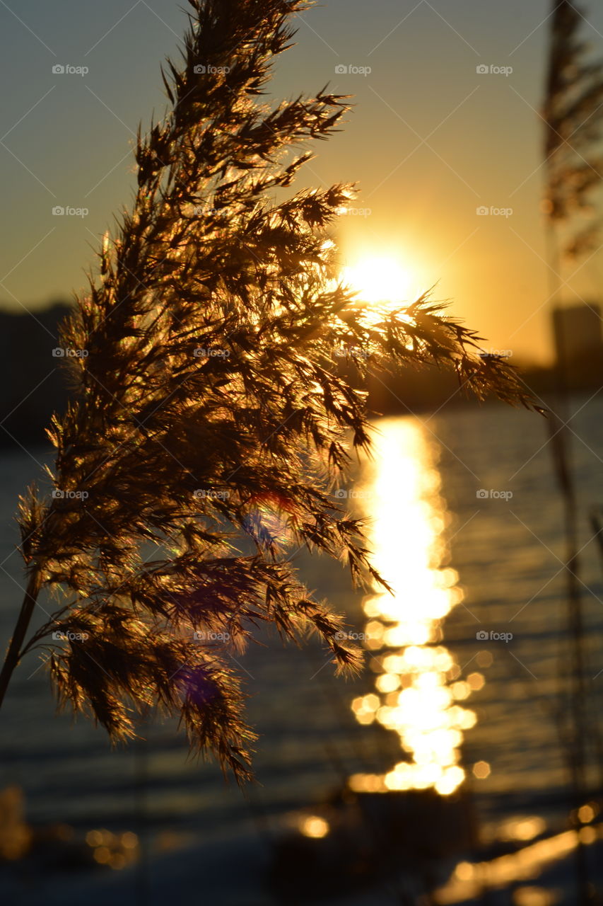 No Person, Winter, Sun, Sunset, Nature