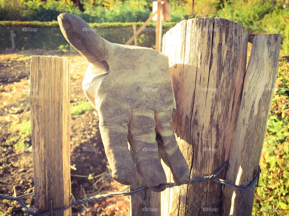 Wooden pole with a garden glove hanging on it in the garden 