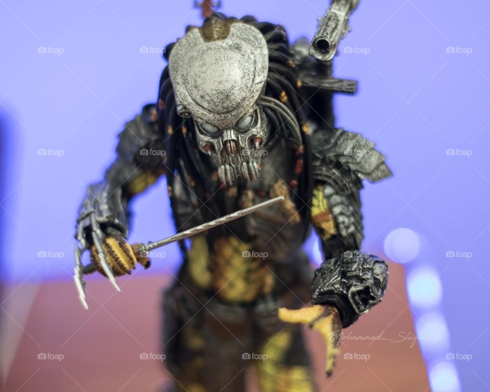 Celtic Predator 