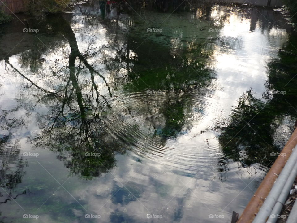 Lake in Ohrid