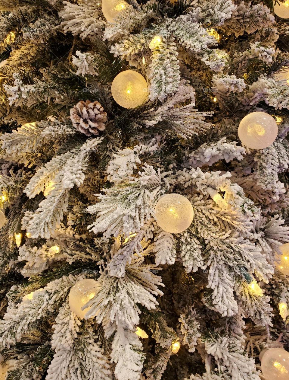 Christmas Tree of Snow and Lights