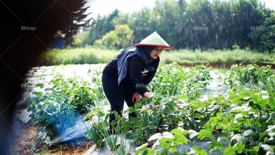 farmer's routine activities