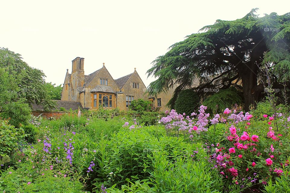 Old Manor House and gardens in bloom