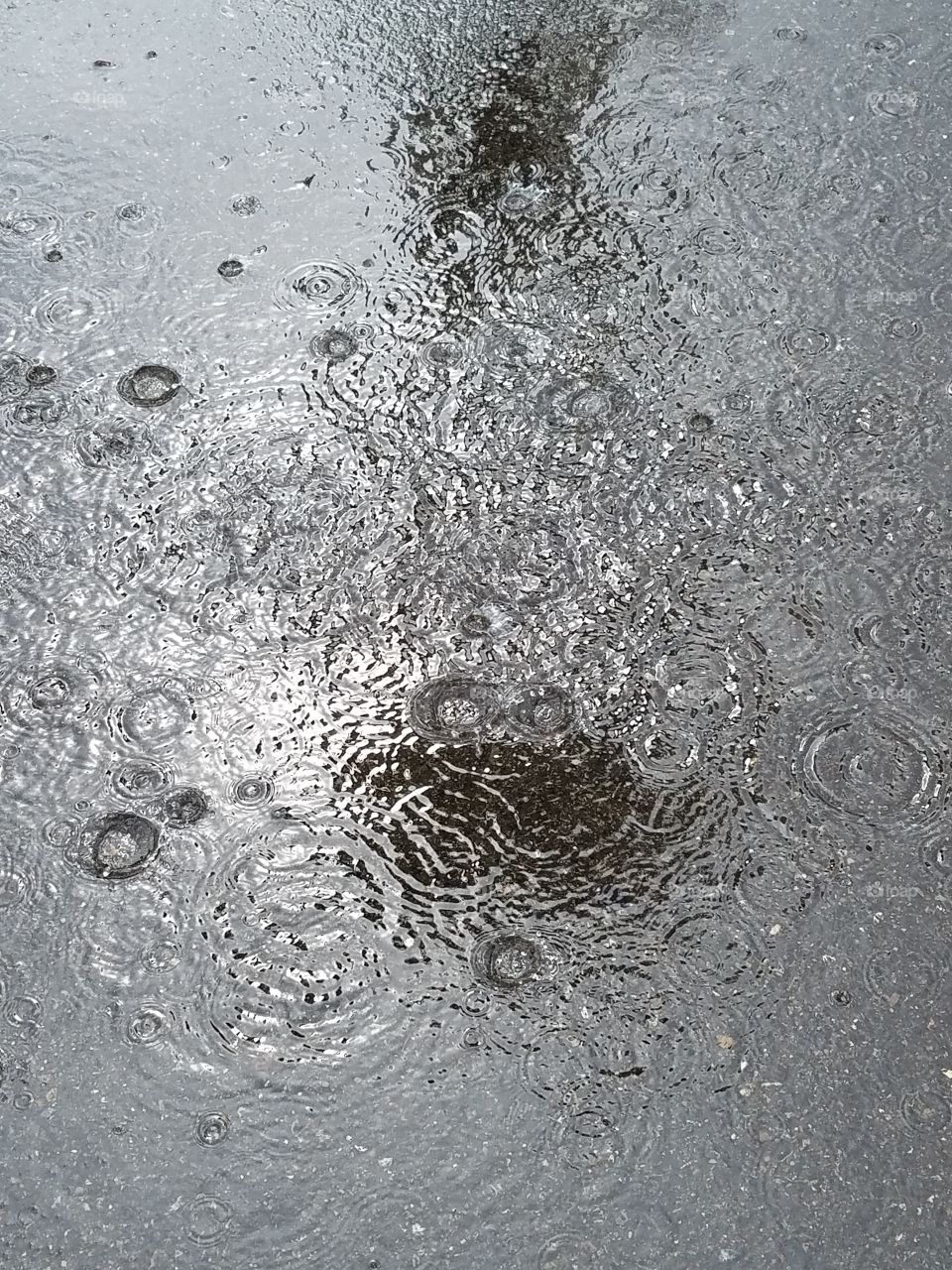 rain puddled