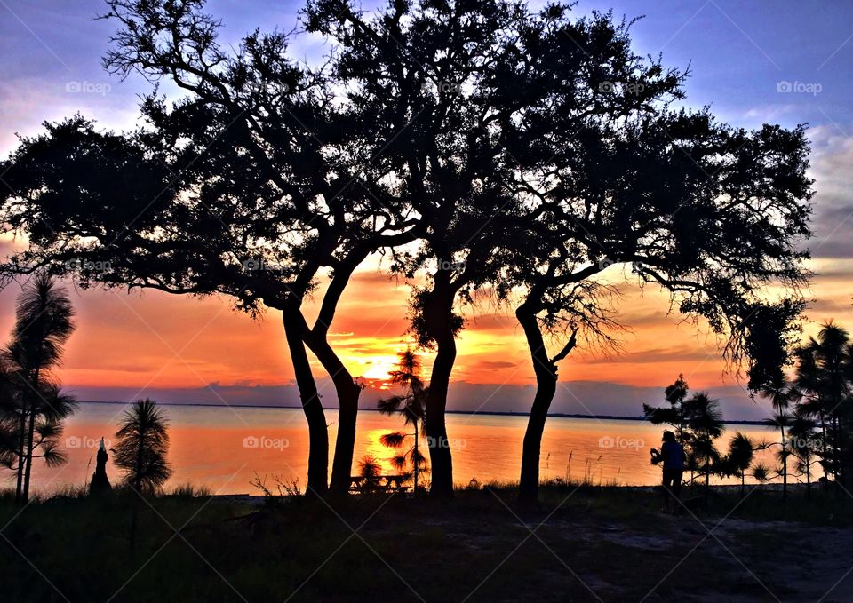 Trees outline the bank of the bay as the setting sun reflects off the waters surface