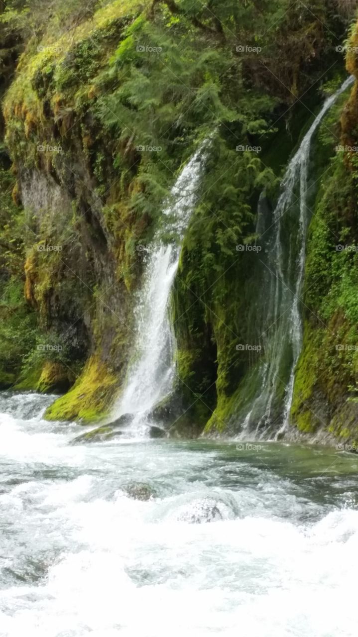 salmon creek falls