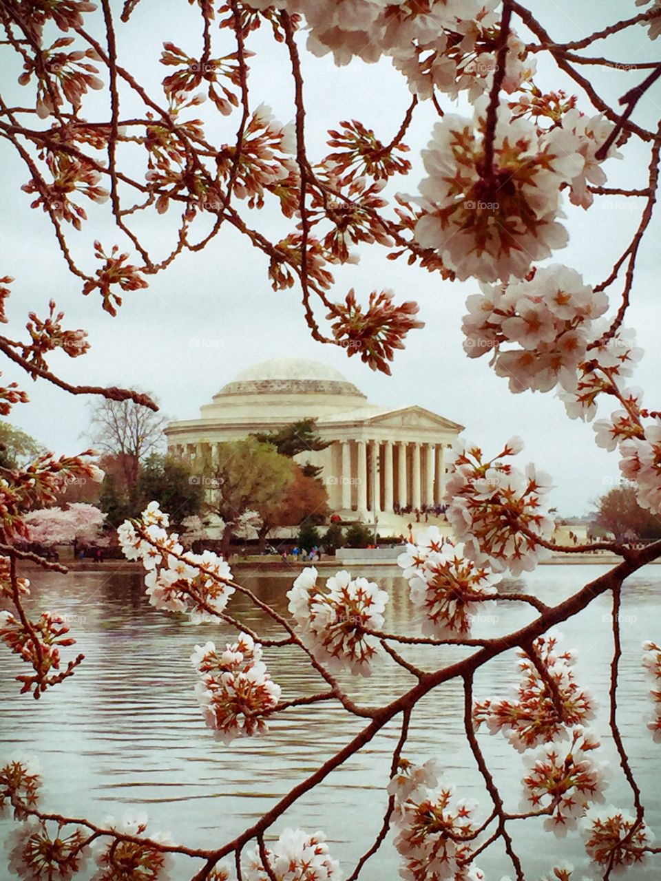 Jefferson memorial Washington, D.C. 