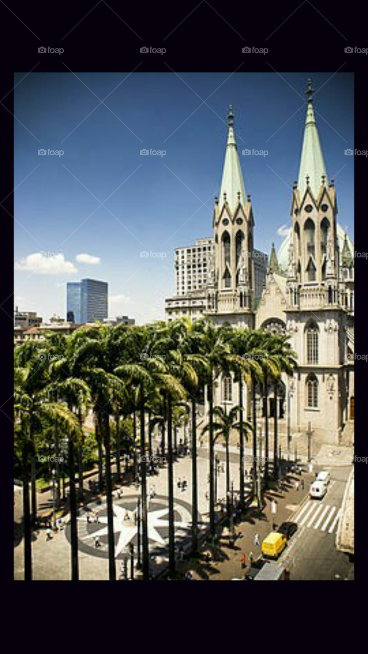 Esta foto ficou Lindíssima com a igreja da com essas aves linda com certeza é um dos pontos turísticos da cidade de São Paulo mais linda