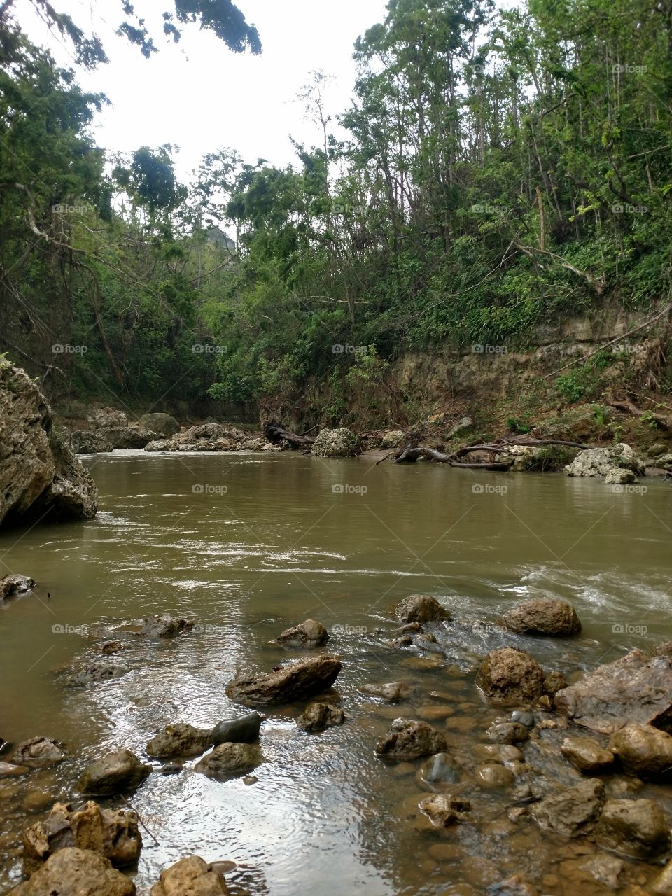 Freshwater river inland near mountains at La Planta, PR.