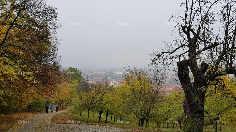 Beautiful autumn in park in Prague