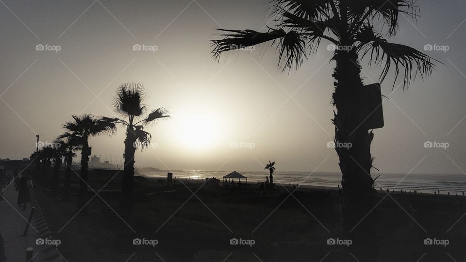 foggy beach sunset