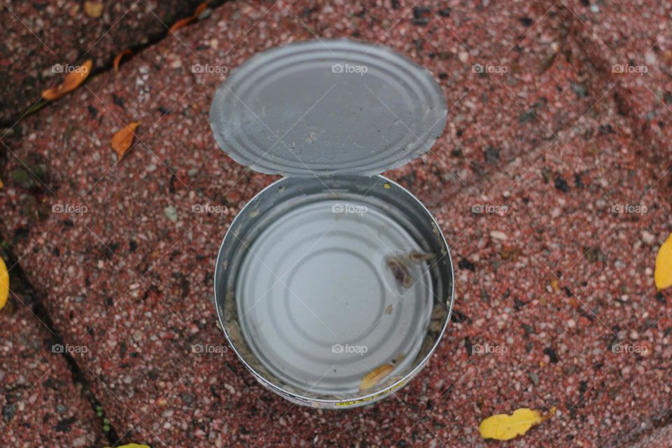Empty Cat Food Can