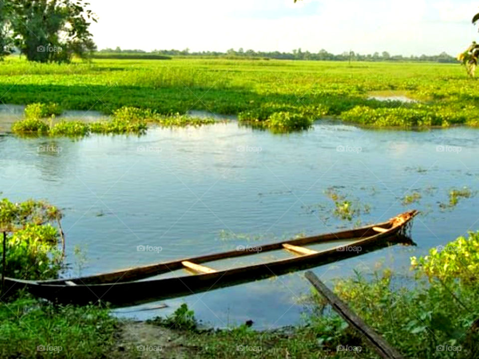 A boat without man on the lake with green beautiful grass.