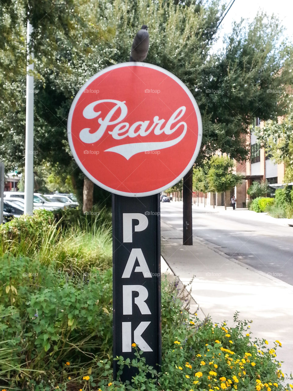 Pearl Park